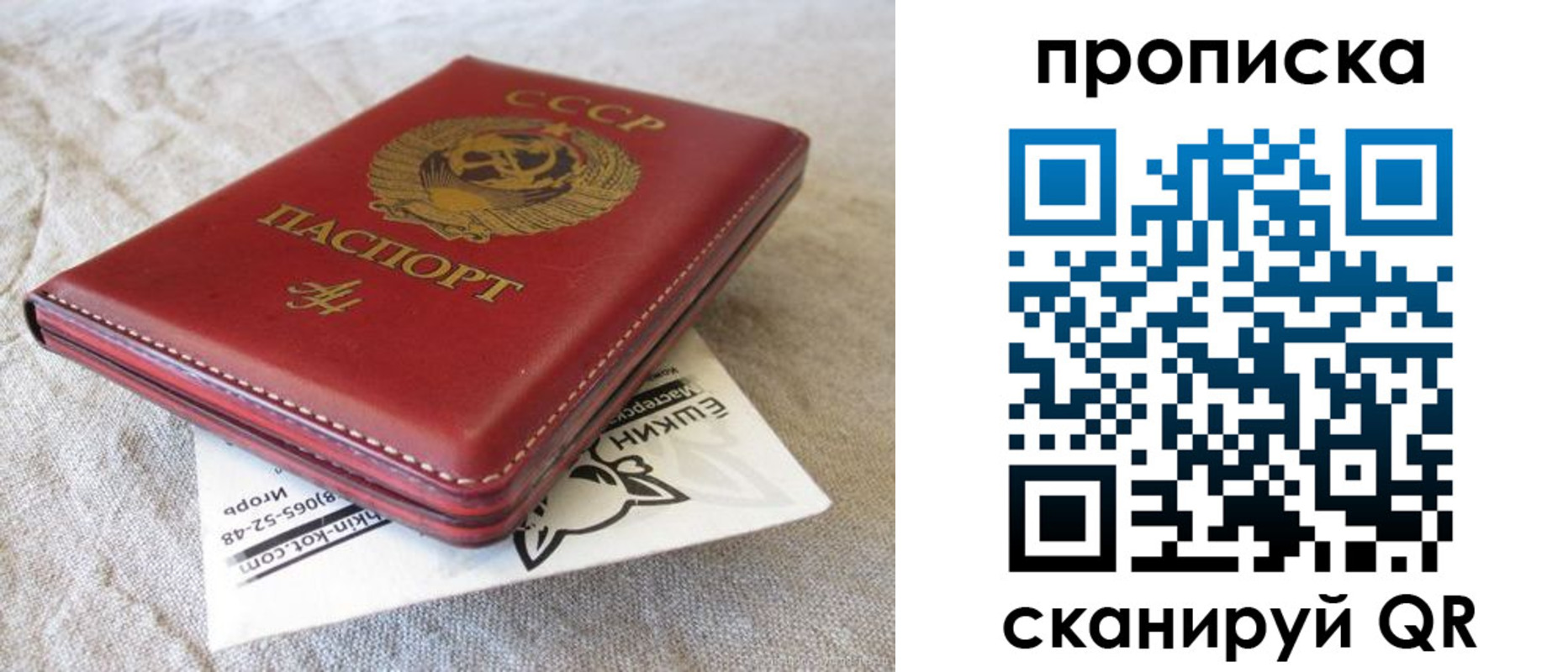 прописка для школы в Кирове